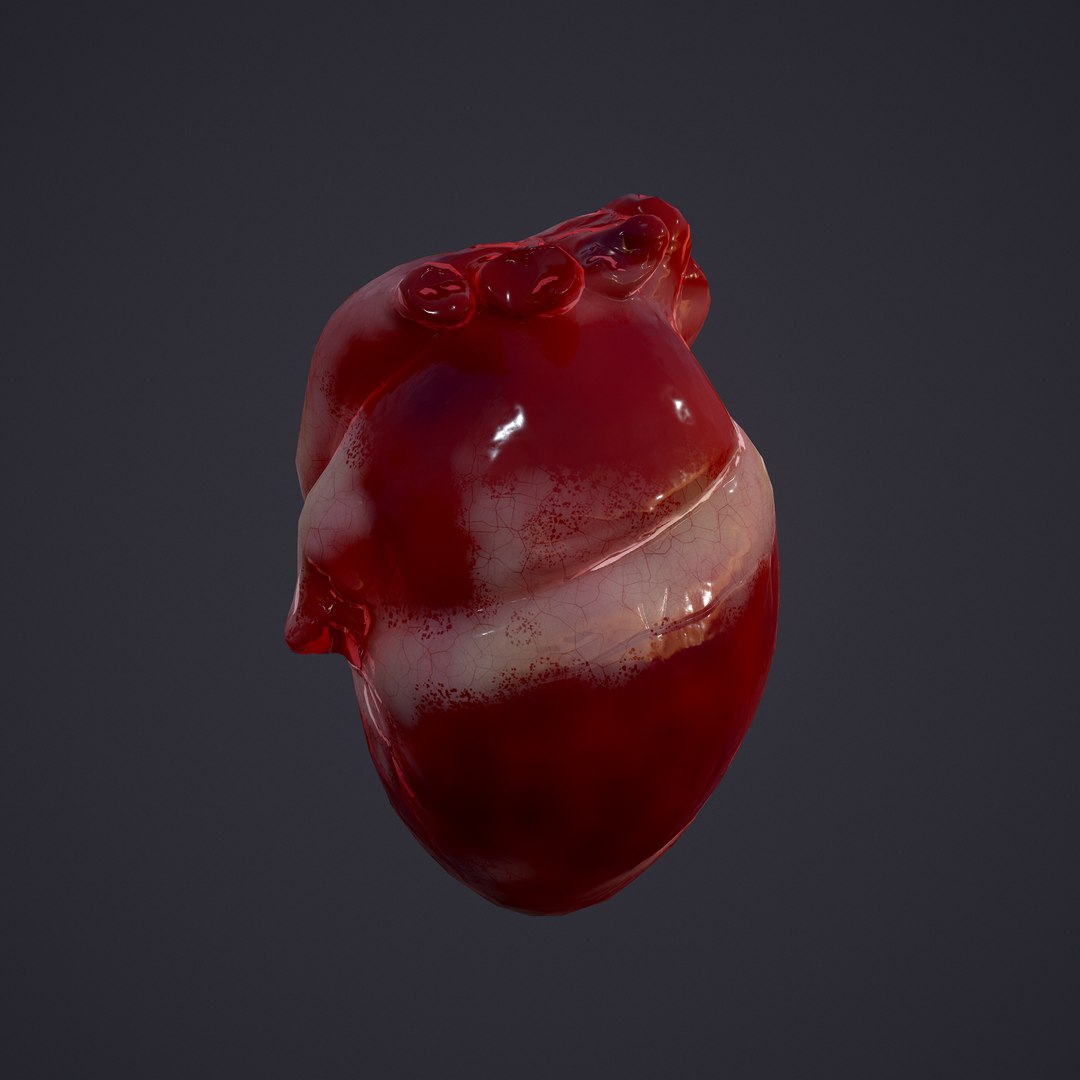 3D human heart model https://p.turbosquid.com/ts-thumb/j1/mid6aw/u4TEQ0KO/18/png/1583025488/1920x1080/fit_q87/998ff6ed9c366348142e4a97a498ebf7c1a21a68/18.jpg