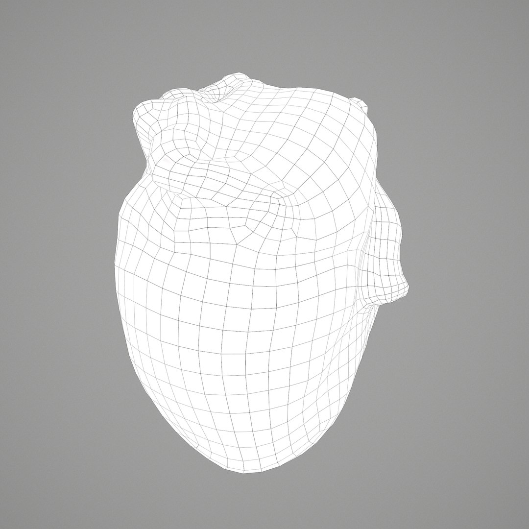 3D human heart model https://p.turbosquid.com/ts-thumb/j1/mid6aw/vmiNwAXs/h/png/1583025737/1920x1080/fit_q87/4537892ef4395089ed632bffaed062d1c94d3e1a/h.jpg