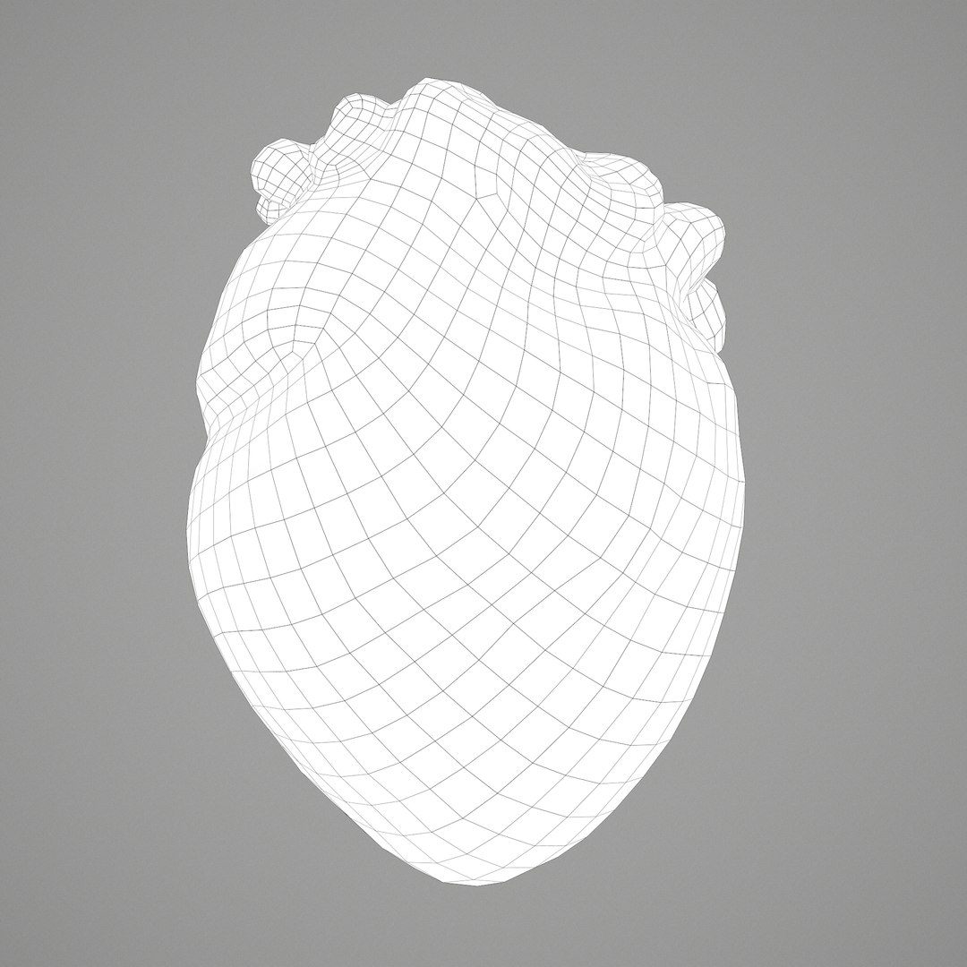 3D human heart model https://p.turbosquid.com/ts-thumb/j1/mid6aw/wInqzqGd/b/png/1583025737/1920x1080/fit_q87/88afe63047fe57be7a89610fd3ebd491fb0e1c2d/b.jpg