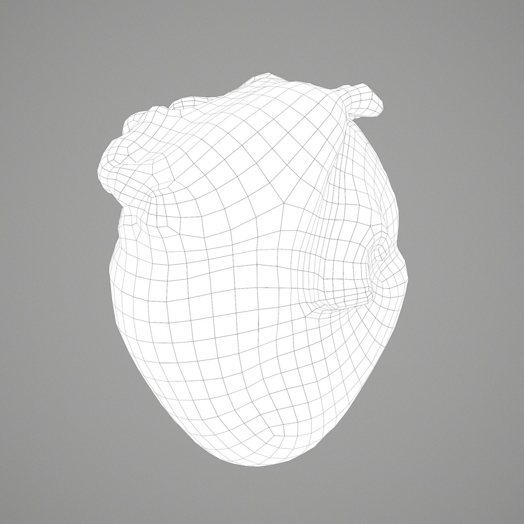 3D human heart model https://p.turbosquid.com/ts-thumb/j1/mid6aw/wJ7g7lWu/g/png/1583025737/1920x1080/fit_q87/9e9e5c0291aef08f0b57cdc80e3d735297fadaee/g.jpg