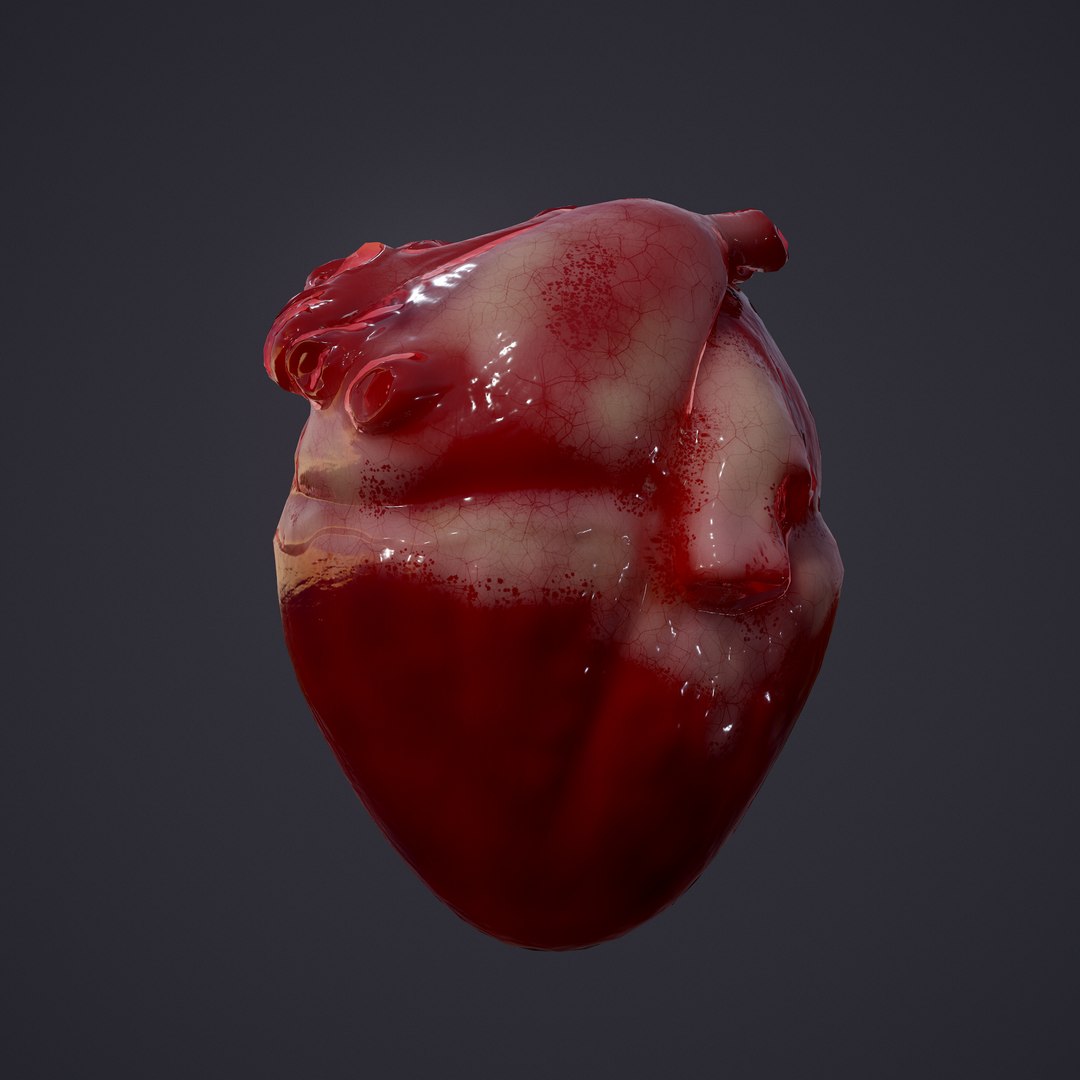 3D human heart model https://p.turbosquid.com/ts-thumb/j1/mid6aw/yoiUGuUD/7/png/1583025488/1920x1080/fit_q87/b175524c405e48adad40be75261b116fb95c496c/7.jpg