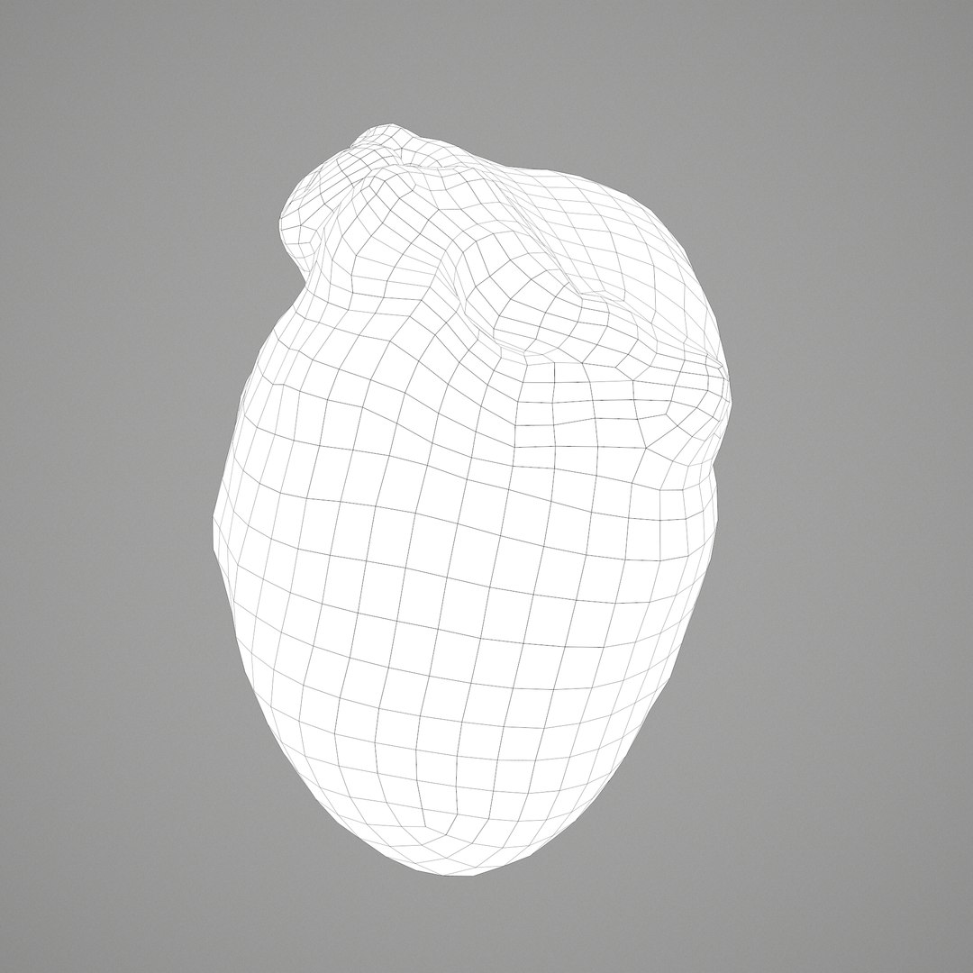3D human heart model https://p.turbosquid.com/ts-thumb/j1/mid6aw/zdRIjmQr/i/png/1583025737/1920x1080/fit_q87/1742f44896d392f54966ea1371c83485e57b6927/i.jpg