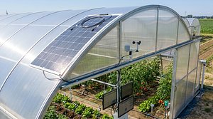Flexible Monocrystalline Solar Panel