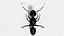 3D Ant OBJ