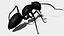 3D Ant OBJ