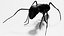 3D Ant OBJ