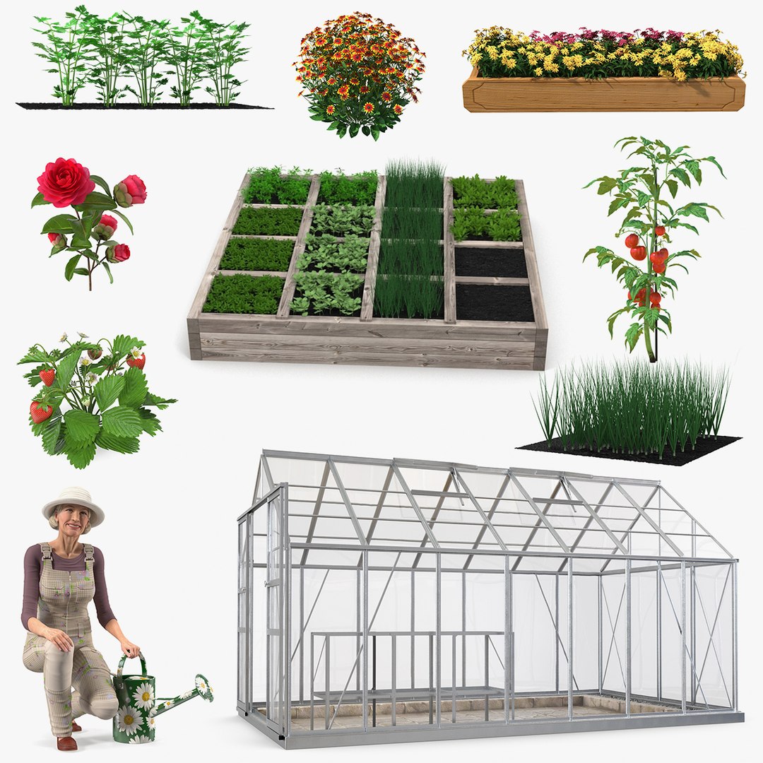 3D Gardening Lady with Greenhouse Collection model https://p.turbosquid.com/ts-thumb/j2/0yOM35/Co/gardeningladywithgreenhousecollectionc4dmodel000/jpg/1646750002/1920x1080/fit_q87/4947cb5cea3d5aa3ce9bec59631df9da20ba31a7/gardeningladywithgreenhousecollectionc4dmodel000.jpg