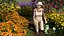 3D Gardening Lady with Greenhouse Collection model