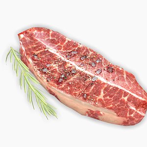 meat steak rosemary model