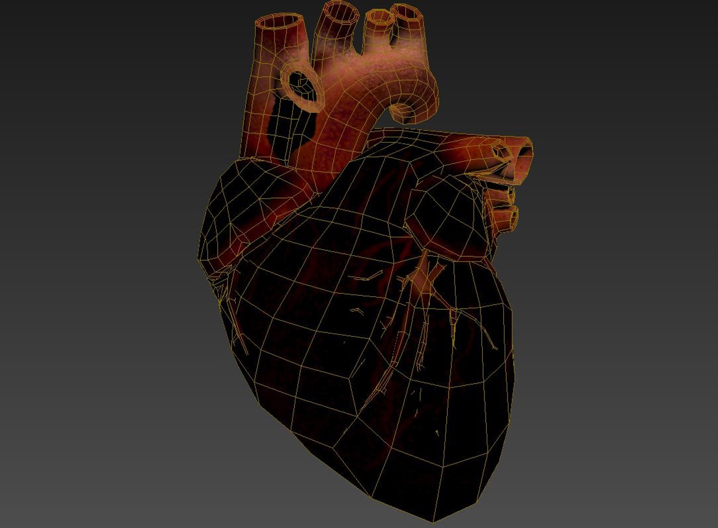 3d model human heart https://p.turbosquid.com/ts-thumb/j2/DPNYyN/o3uoayqs/h_wf_02/jpg/1431942898/1920x1080/fit_q87/74eae6e1dc90bfa891054c70ecf363e3a8ebddcd/h_wf_02.jpg