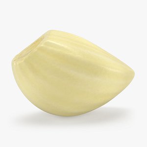 3D Peeled Garlic Clove 01