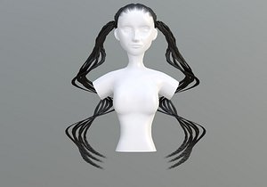 Braids Long Hair 3D model