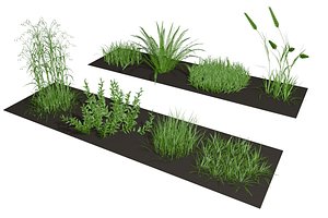 herb herbage 3D