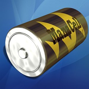D Cell Battery
