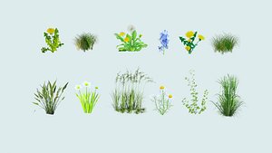 grass plant nature 3D