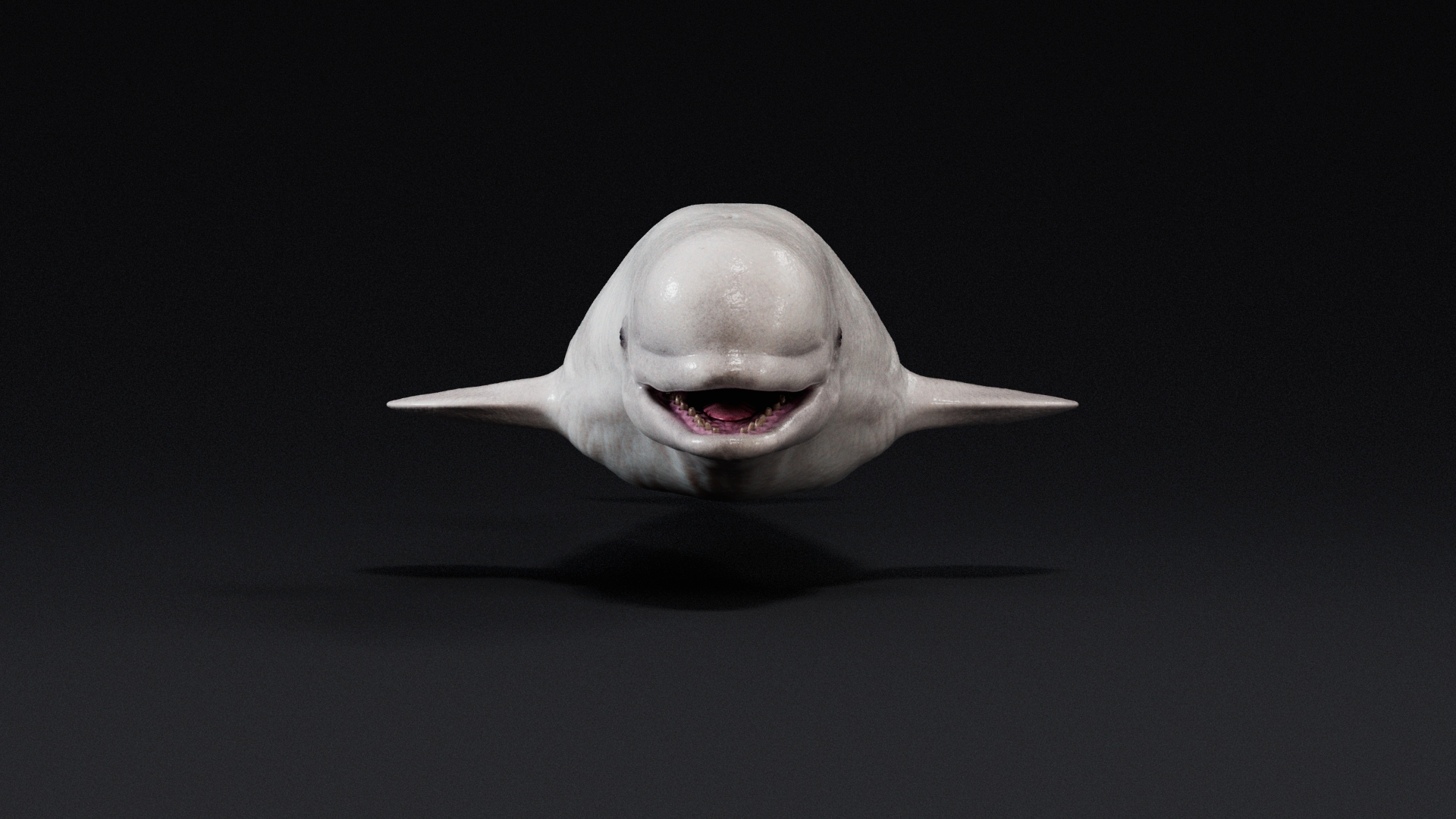 4K Beluga Whale Mammal 3D https://p.turbosquid.com/ts-thumb/j2/Psw59y/d3/01/jpg/1755882725/1920x1080/turn_fit_q99/d9427d60512a034f93873f9d0be7896a242a4dc9/01-1.jpg