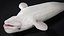 4K Beluga Whale Mammal