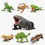 3D Rigged Lizards Collection 3 for Cinema 4D