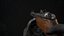PPSh-41