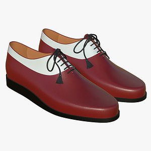 Leather Lace Up Shoes V9