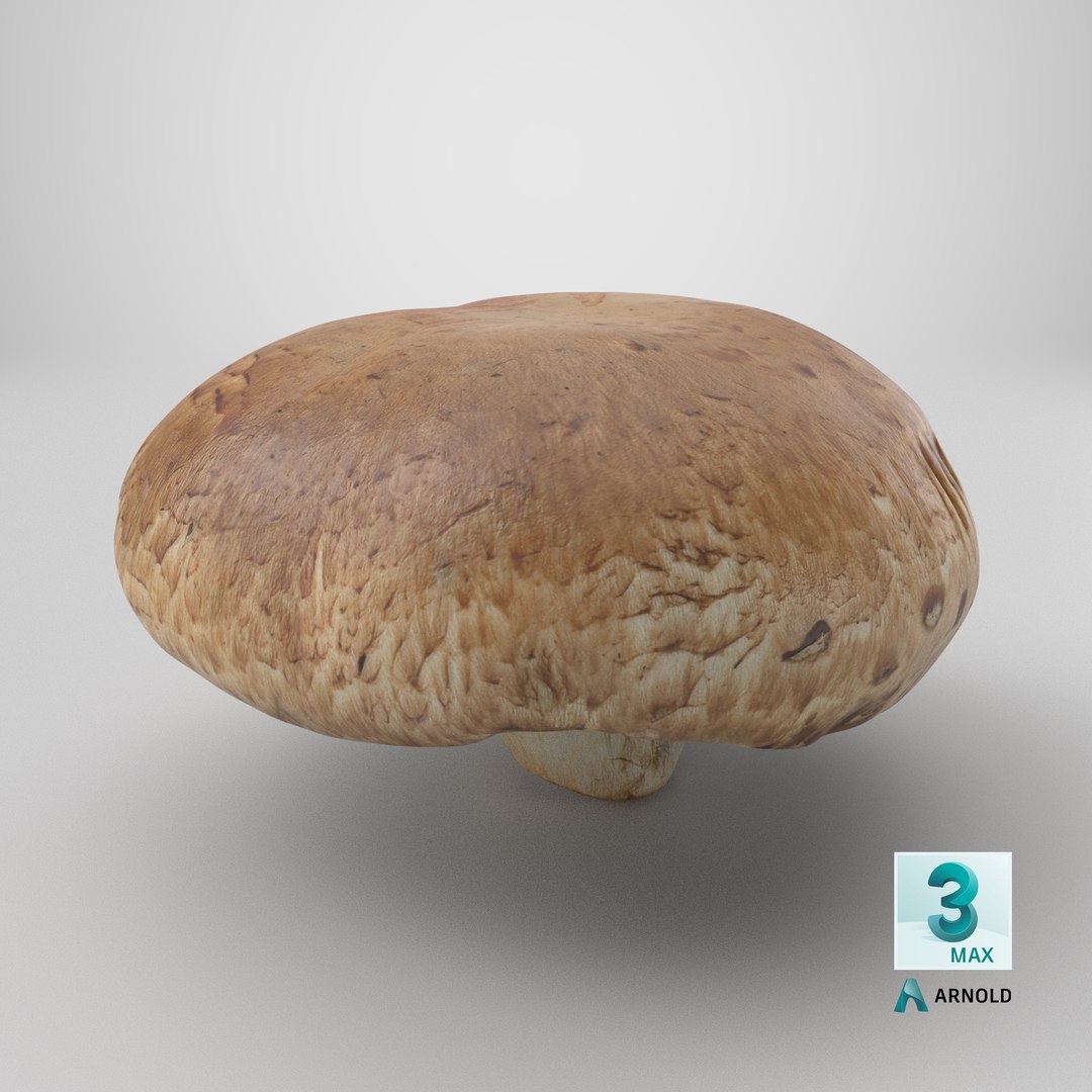 3D Portobello Mushroom 1 - 3D Scanned https://p.turbosquid.com/ts-thumb/j3/GHE6WQ/31/stemcell_max_arnold_render/png/1773918880/1920x1080/fit_q87/977824e7372de0b1081707efbfb7e639f02caf60/stemcell_max_arnold_render.jpg