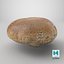 Portobello-Pilz 1 - 3D-Scan