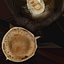 Portobello-Pilz 1 - 3D-Scan