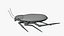 Cockroach 3D model