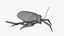 Cockroach 3D model