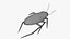 Cockroach 3D model