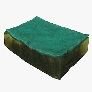 Sponge Dirty 3D model