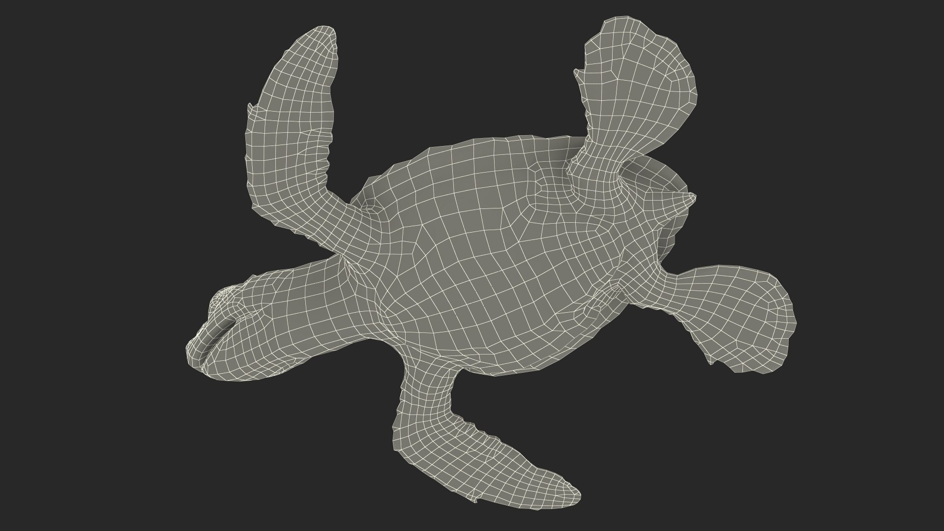 3D Baby Sea Turtle Brown Rigged https://p.turbosquid.com/ts-thumb/j4/VZTOsM/nz/baby_sea_turtle_brown_rigged_032/jpg/1708968146/1920x1080/fit_q87/52a7f6285aad4c30705122b395e7918027795caa/baby_sea_turtle_brown_rigged_032.jpg