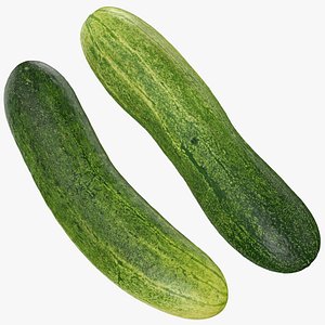 Cucumber Collection 3D model