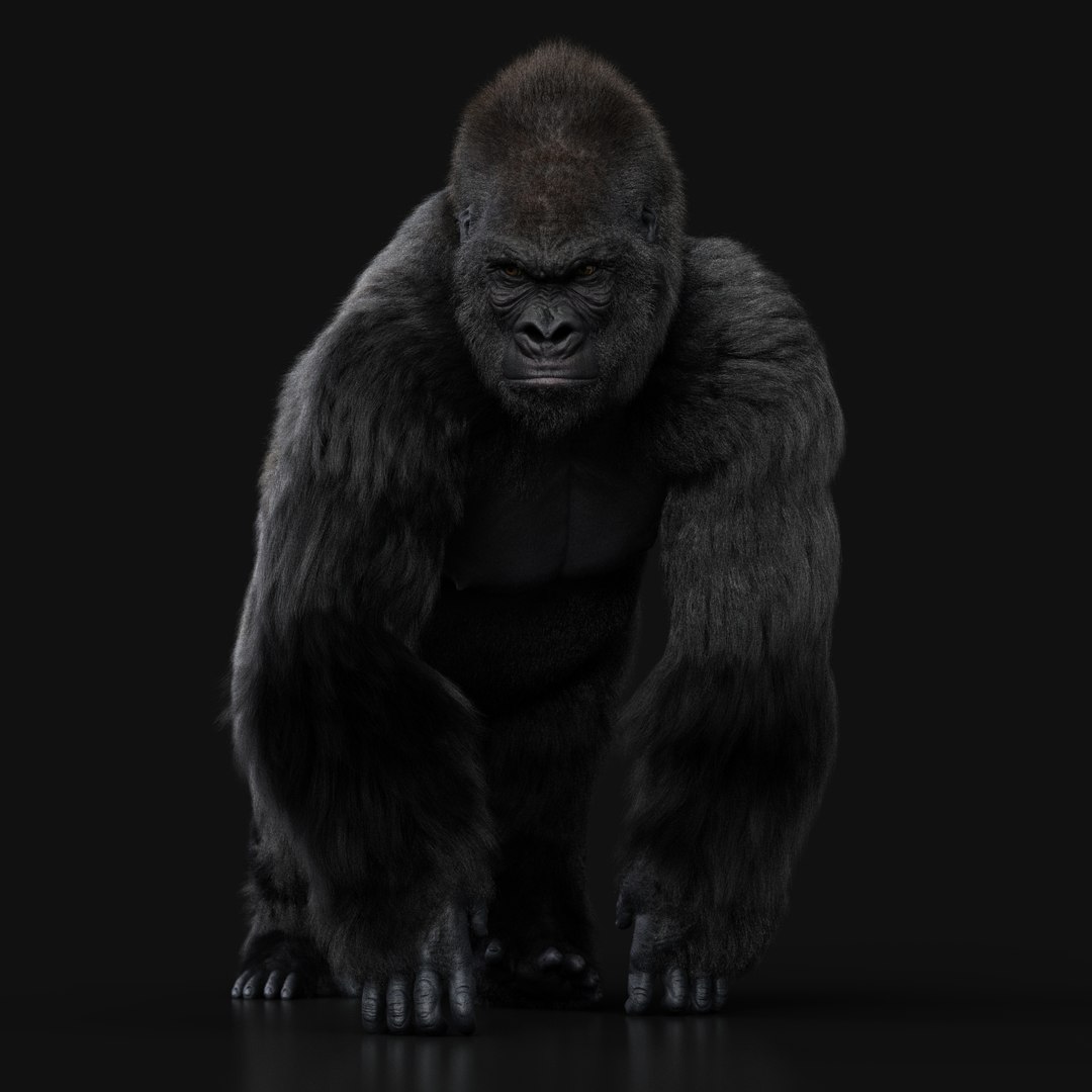 GORILLA 2 RIG XGEN-CORE 3D Model - TurboSquid 2253813