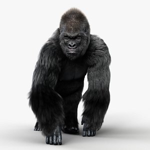 GORILLA 2 RIG XGEN-CORE 3D model
