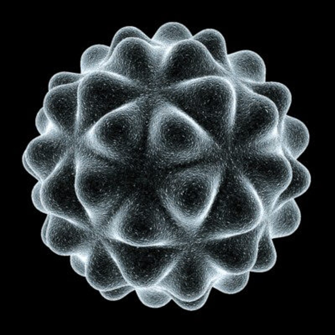 micro microbiology bacteria cell 3d model https://p.turbosquid.com/ts-thumb/j4/iDHFlf/6kLDE0YT/pollen_cell_1_textured/jpg/1267234672/1920x1080/fit_q87/d0c48c2b133aeb45146ff0ed7541752be35d51b5/pollen_cell_1_textured.jpg