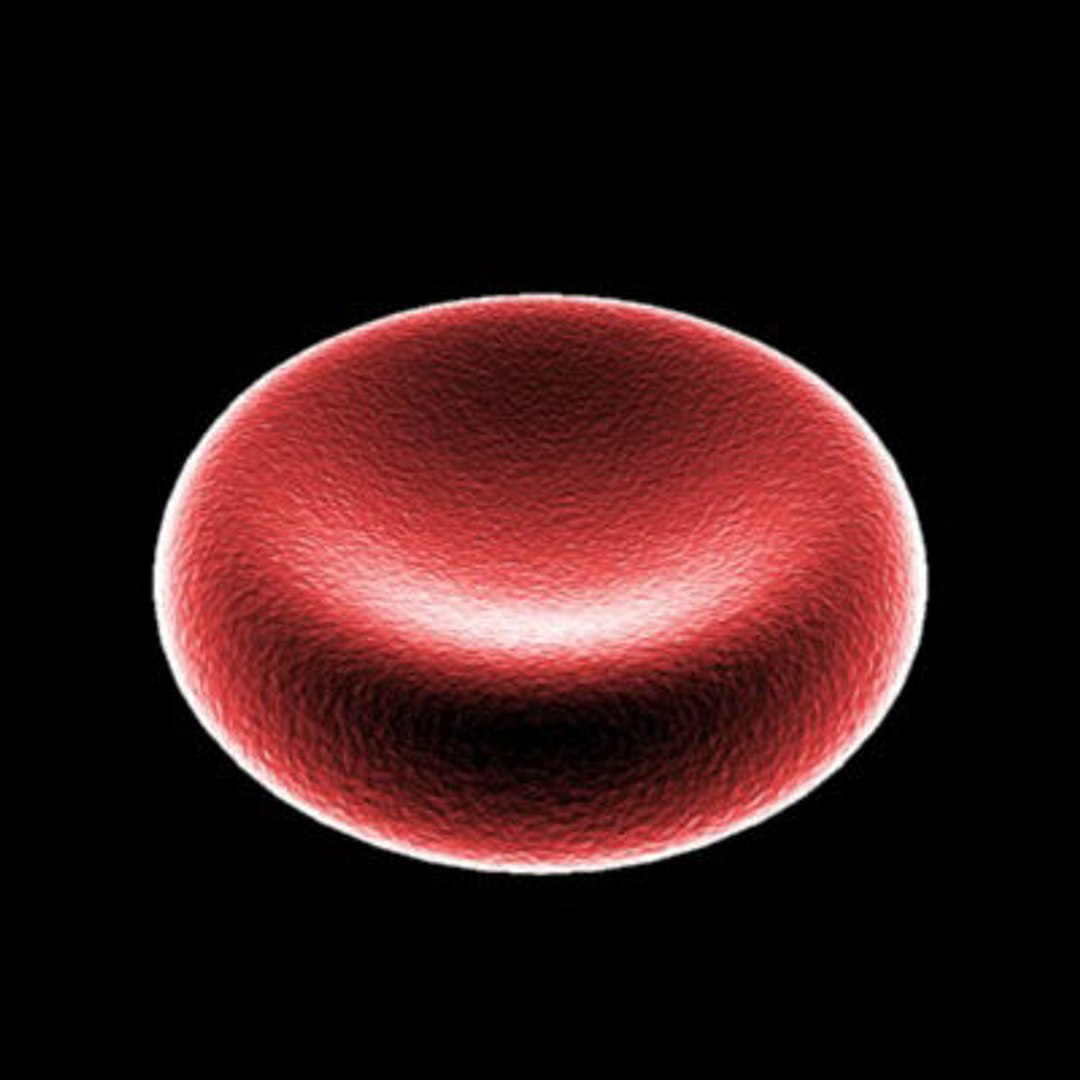 micro microbiology bacteria cell 3d model https://p.turbosquid.com/ts-thumb/j4/iDHFlf/7nPCqd4P/red_blood_cell_1_textured/jpg/1267234748/1920x1080/fit_q87/ab13c69a862a9d944c7cdc48f66f1dfe78d93128/red_blood_cell_1_textured.jpg