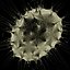 micro microbiology bacteria cell 3d model