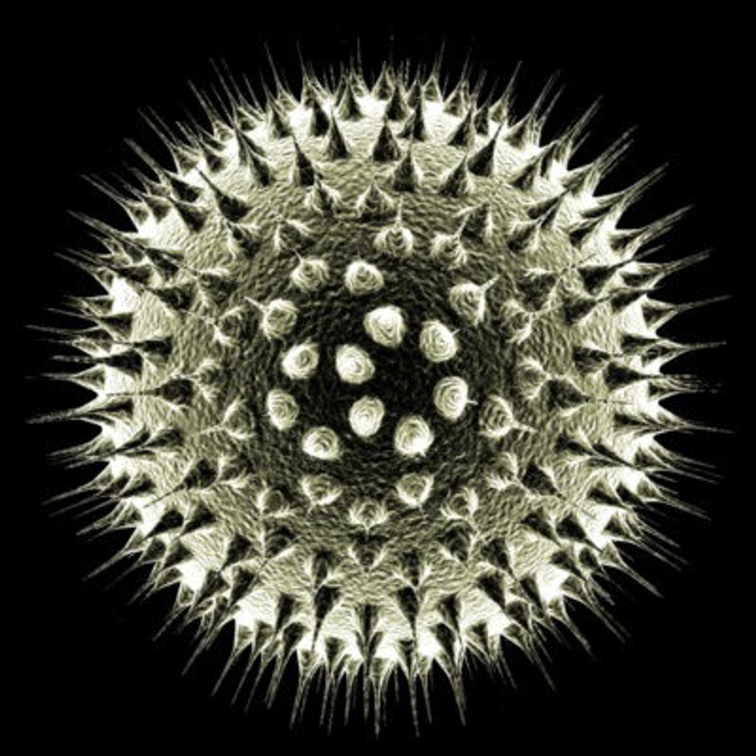 micro microbiology bacteria cell 3d model https://p.turbosquid.com/ts-thumb/j4/iDHFlf/QYbkOQES/dead_cell_1_textured/jpg/1267234362/1920x1080/fit_q87/6cdad2833f2dcc8b566fb43801a13c46d037ef12/dead_cell_1_textured.jpg