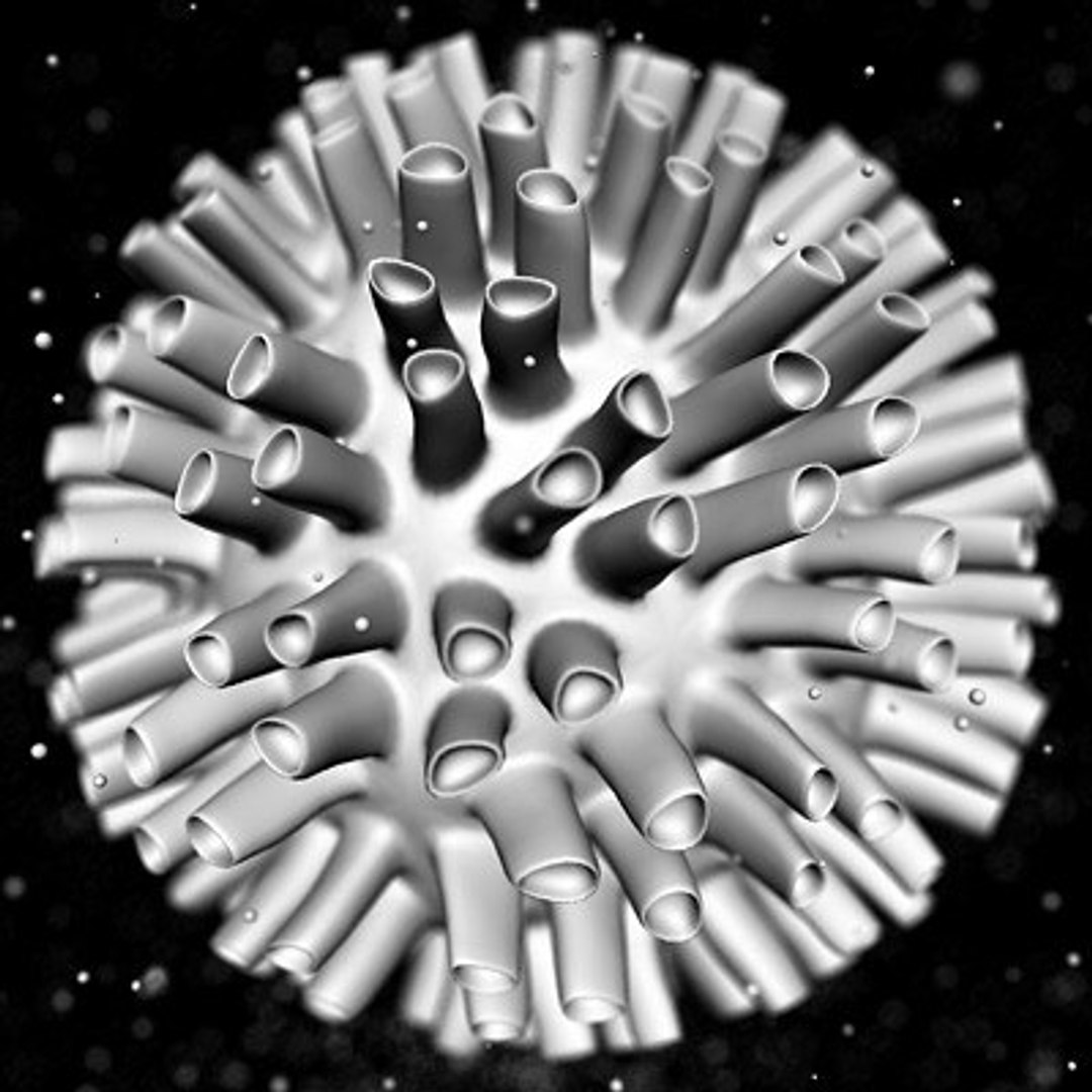 micro microbiology bacteria cell 3d model https://p.turbosquid.com/ts-thumb/j4/iDHFlf/bAPkTHoj/virus_cell_5_1_untextured/jpg/1267235005/1920x1080/fit_q87/934a3d39538998089836c3b64d346787ff2fd31a/virus_cell_5_1_untextured.jpg