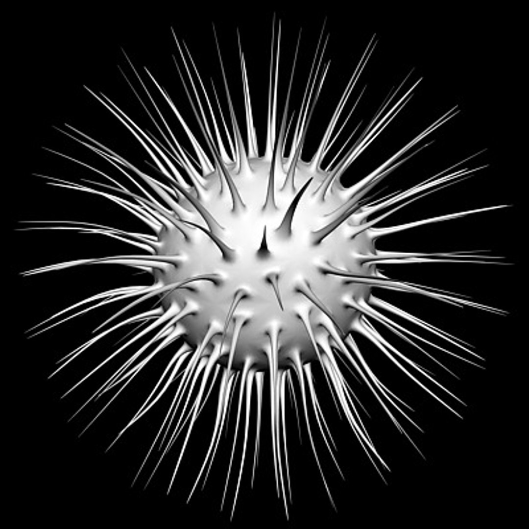 micro microbiology bacteria cell 3d model https://p.turbosquid.com/ts-thumb/j4/iDHFlf/iLjGBoH4/virus_cell_2_untextured/jpg/1267234906/1920x1080/fit_q87/085a8c5818461c6a53dbaff3ddf5baf8071069f7/virus_cell_2_untextured.jpg