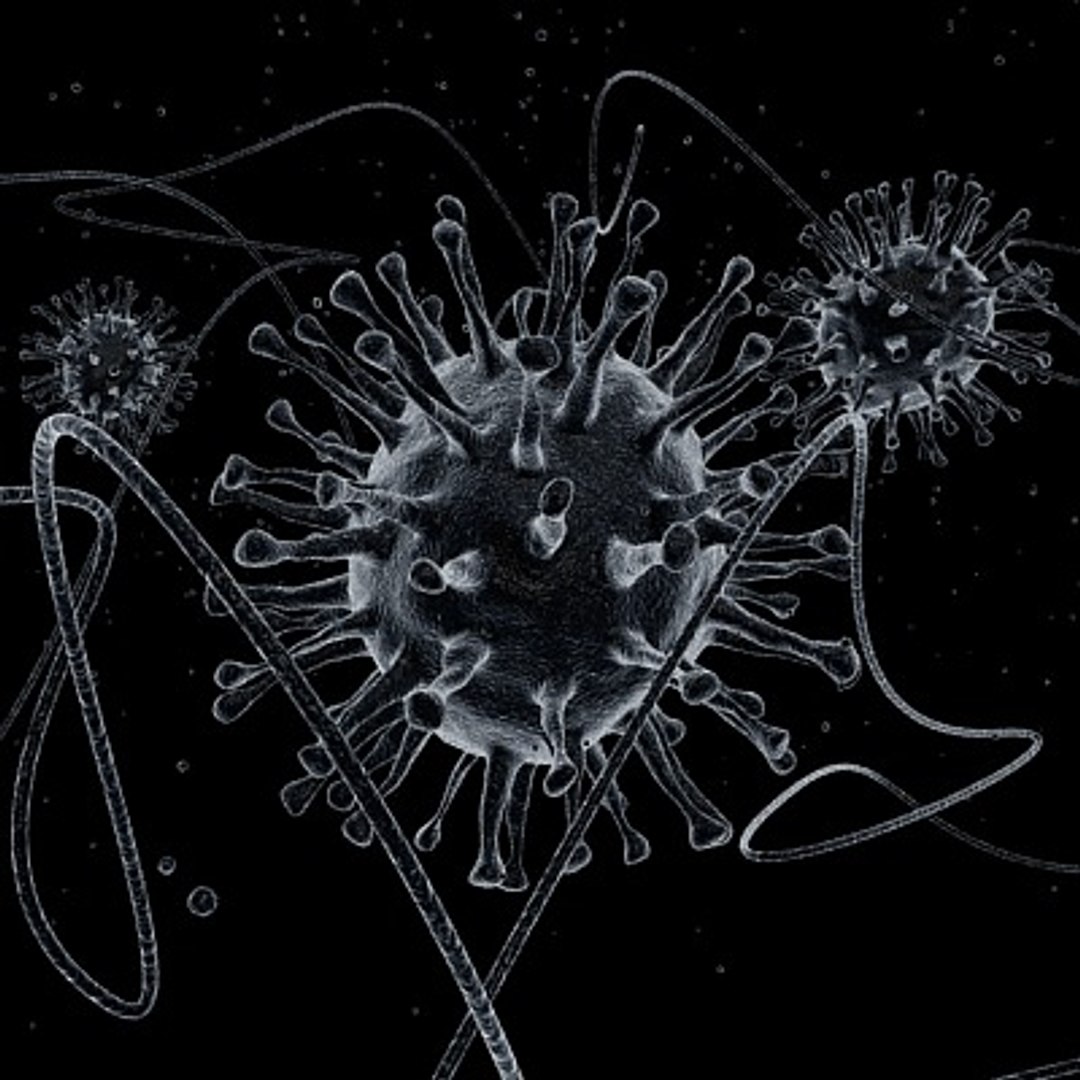 micro microbiology bacteria cell 3d model https://p.turbosquid.com/ts-thumb/j4/iDHFlf/pcDTri3V/viral_outbreak_1_textured/jpg/1267234906/1920x1080/fit_q87/6df2a59f4cddd1b96e6baf44422bebc5024ae8ad/viral_outbreak_1_textured.jpg