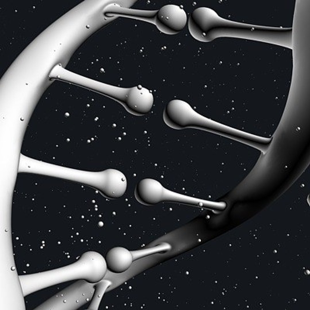 micro microbiology bacteria cell 3d model https://p.turbosquid.com/ts-thumb/j4/iDHFlf/v5trnpTw/dna_helix_2_untextured/jpg/1267234363/1920x1080/fit_q87/128d9ca2535644614f8afed178987cd3413e62e5/dna_helix_2_untextured.jpg