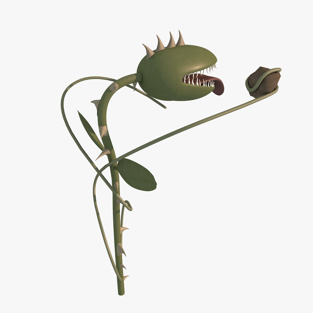 carnivorous plant 3d model https://p.turbosquid.com/ts-thumb/j4/yQiaOk/Hpo5qjgl/carnivorousplantc4d3/png/1417866170/1920x1080/fit_q87/1303b931d1e52dc8c83d6ec676581a0b1d21a973/carnivorousplantc4d3.jpg