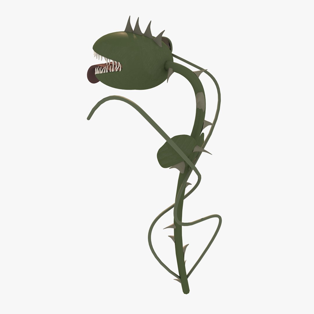 carnivorous plant 3d model https://p.turbosquid.com/ts-thumb/j4/yQiaOk/eCsNvQNZ/carnivorousplantc4d4/png/1417866170/1920x1080/fit_q87/2d8c03dd9daa8e8a9424a13d1dfe3a0d7ee368e9/carnivorousplantc4d4.jpg