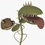 Carnivorous plant