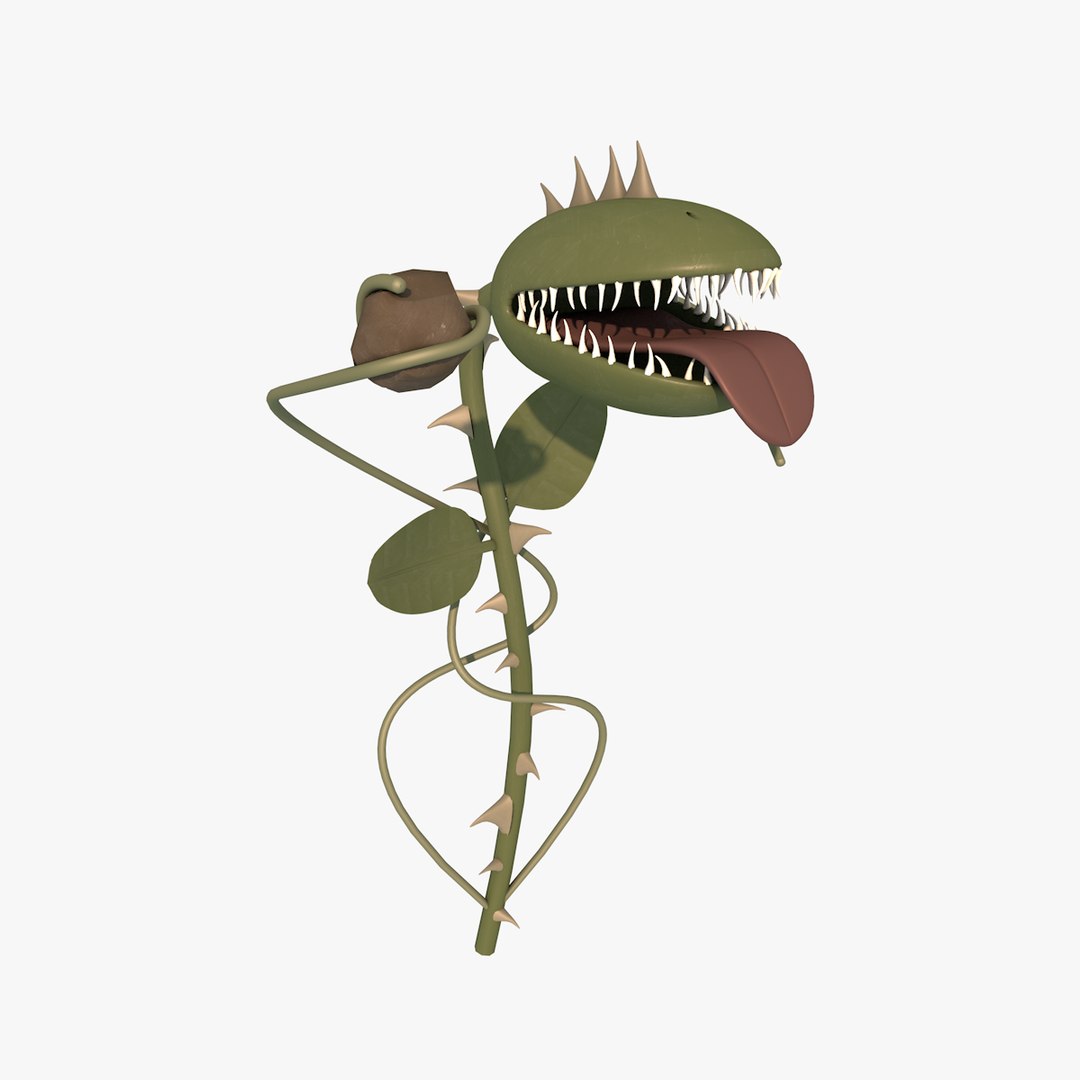 carnivorous plant 3d model https://p.turbosquid.com/ts-thumb/j4/yQiaOk/xfcuGHdC/carnivorousplantc4d2/png/1417866170/1920x1080/fit_q87/03930437d1ebb9576e39cc763ab17bcde4de3567/carnivorousplantc4d2.jpg