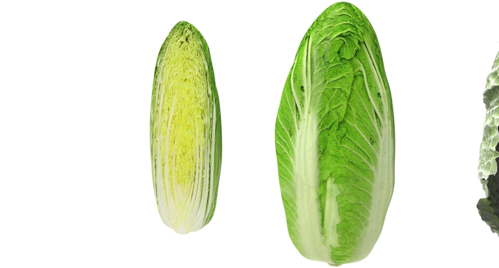 3D model cabbage napa https://p.turbosquid.com/ts-thumb/j4/yYwSSq/3K3atIK3/napa6/jpg/1589434031/1920x1080/fit_q87/67c2c0700a5f2ea55cf2fd88d7b7e9ba62aa2064/napa6.jpg