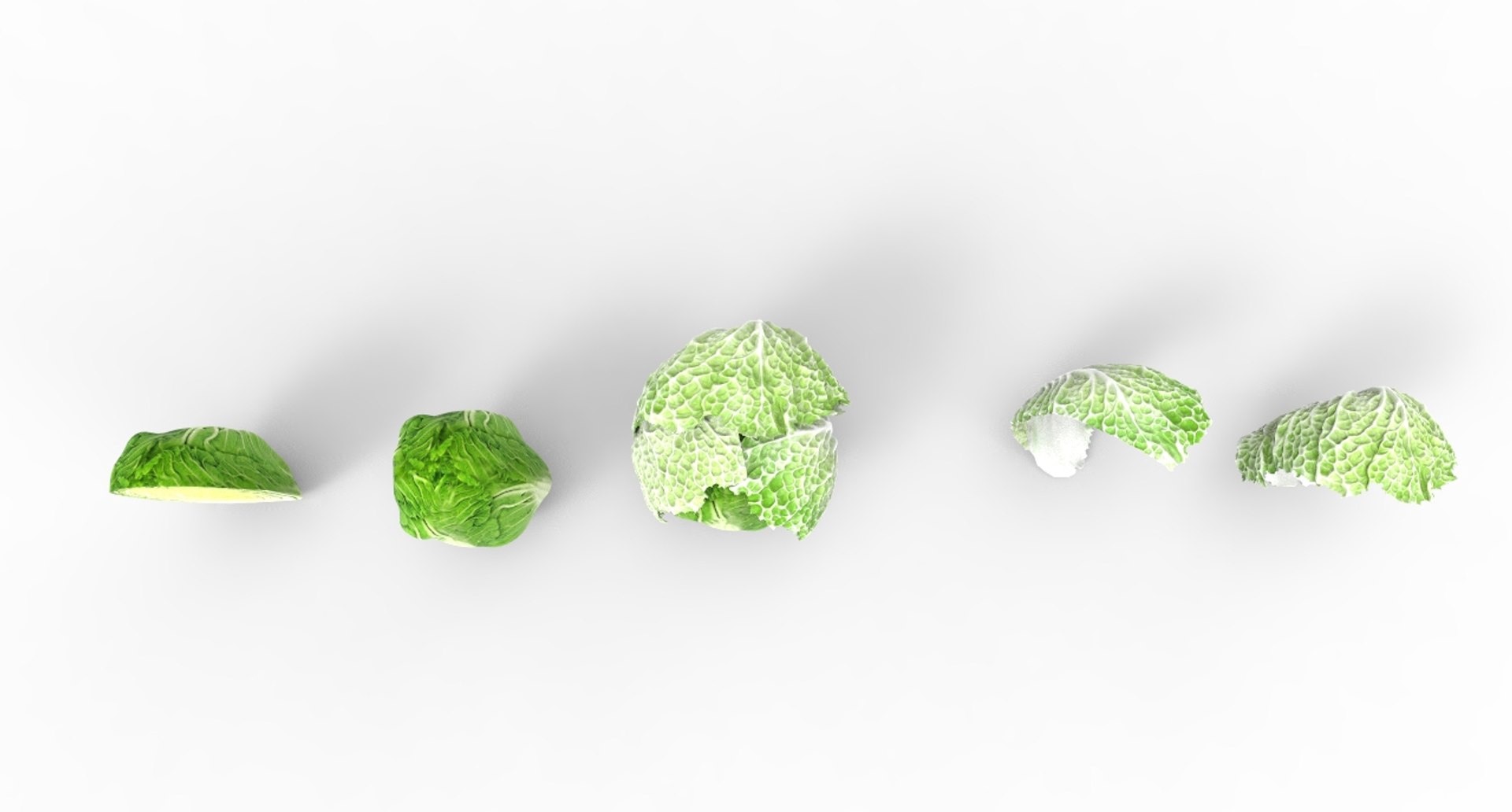 3D model cabbage napa https://p.turbosquid.com/ts-thumb/j4/yYwSSq/50Sx7wMH/napa2/jpg/1589434031/1920x1080/fit_q87/b58bf31b1aea3ec520d92b8d1063fe97bcc5ec3b/napa2.jpg