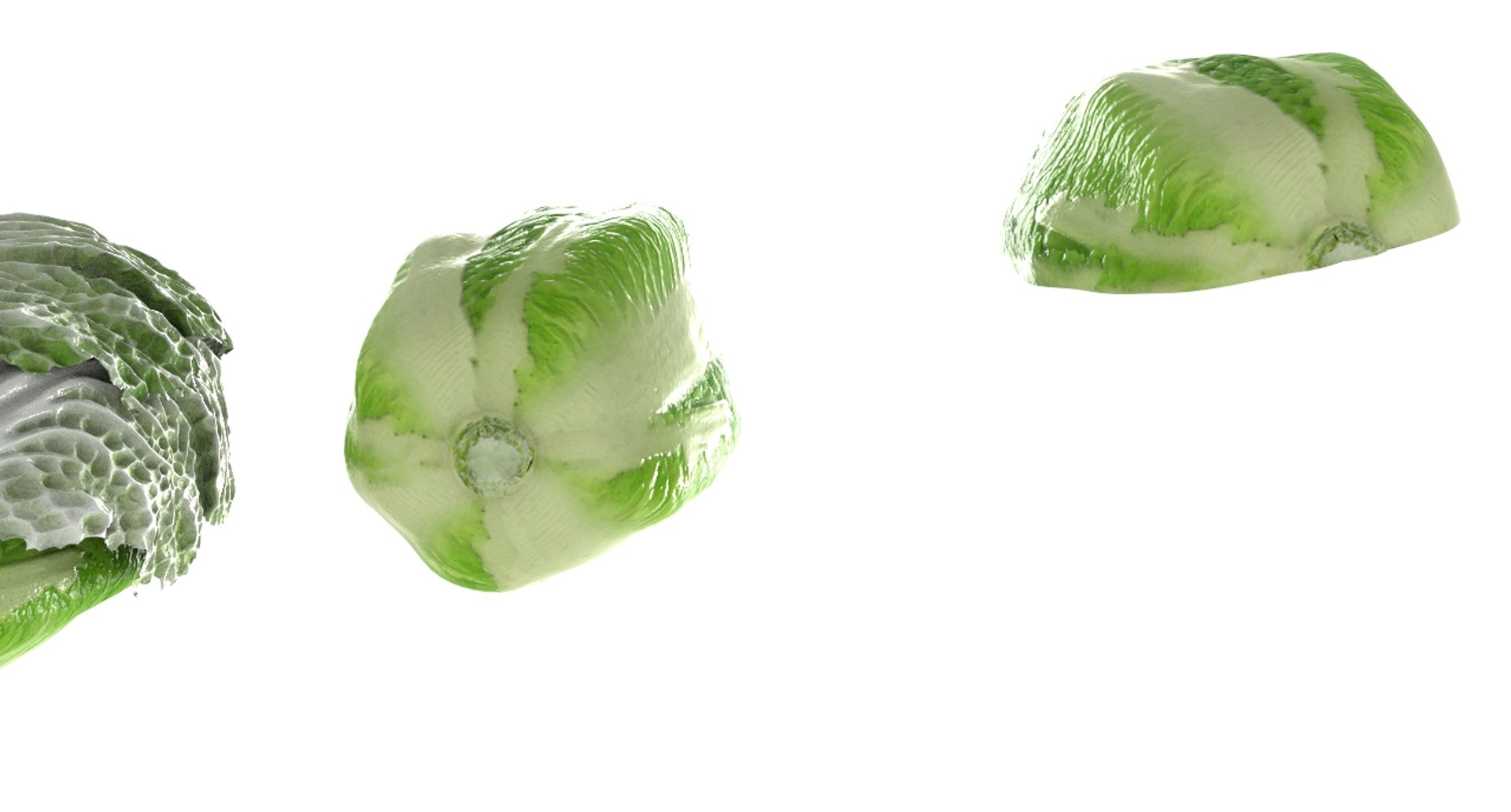 3D model cabbage napa https://p.turbosquid.com/ts-thumb/j4/yYwSSq/6DIZJvSo/napa9/jpg/1589434031/1920x1080/fit_q87/e70023fed7cb82b7b7622fd7853c5bbcaf8643bc/napa9.jpg